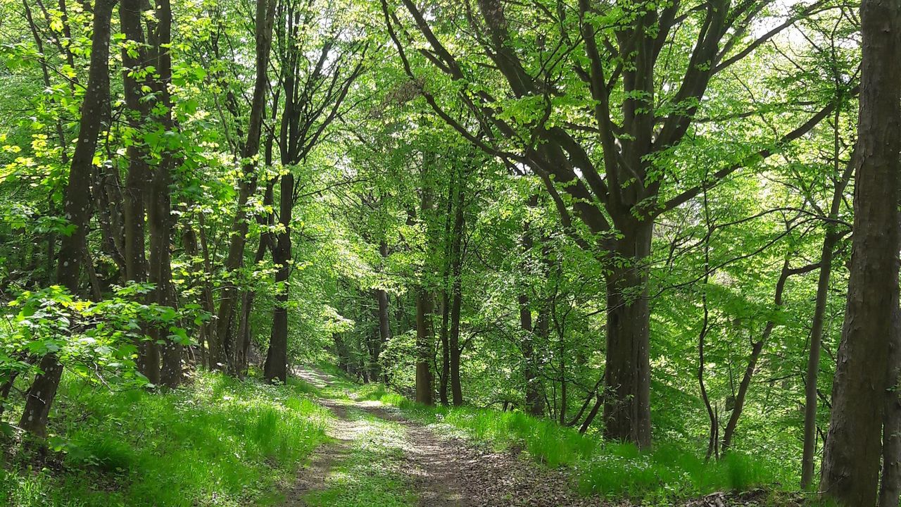 Wanderweg 2 Wanderweg 2